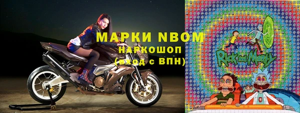 шишки Бородино