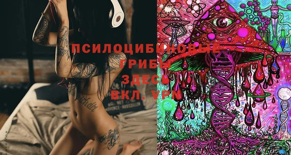 шишки Бородино