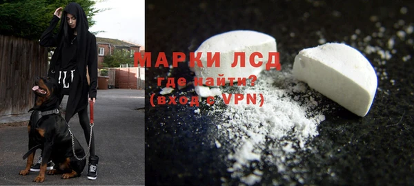 шишки Бородино